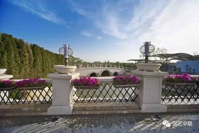 1533099764533024787.jpg 42847caae6c94fef8833a8f687d8546c_th.jpg